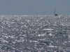  Segeln 2010 2 - P1120574__.jpg