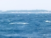  Segeln 2011 - P1010088.jpg